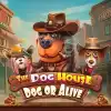 The Dog House – Dog or Alive