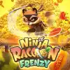 Ninja Racoon Frenzy