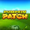 Pumpkin Patch