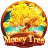 Money Tree