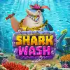 Shark Wash