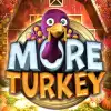 More Turkey