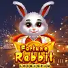 Fortune Rabbit Lock 2 Spin