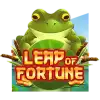 Leap of Fortune