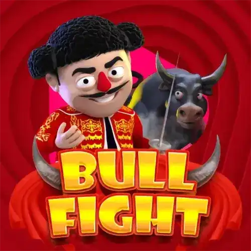 Bull Fight