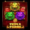 Triple Tigers