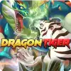 Dragon Tiger Fight